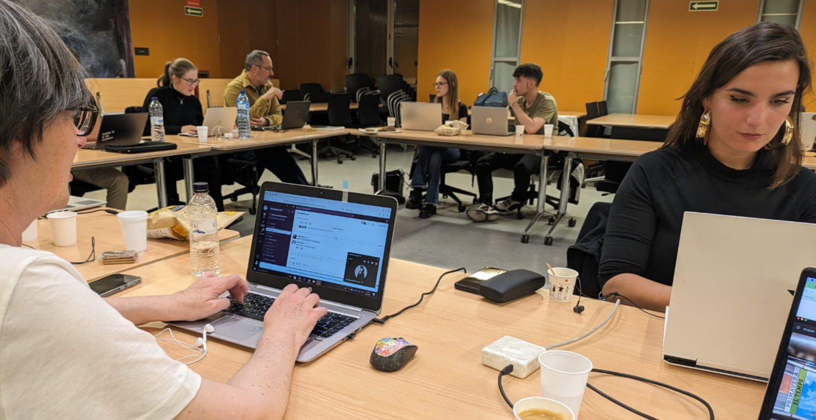 Alfabetització política per combatre la desafecció i els valors antidemocràtics a la universitat