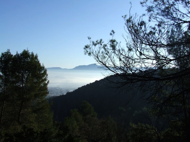 ampliar