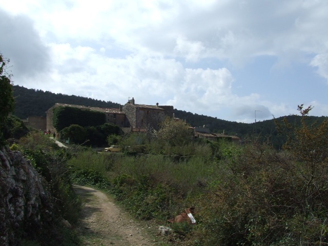 ampliar