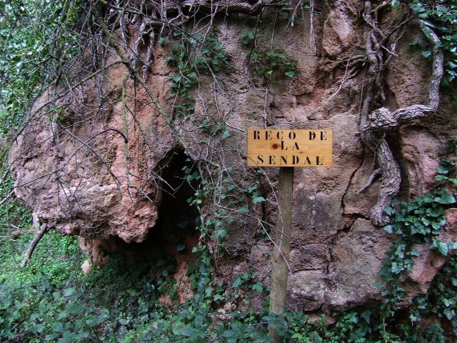 ampliar