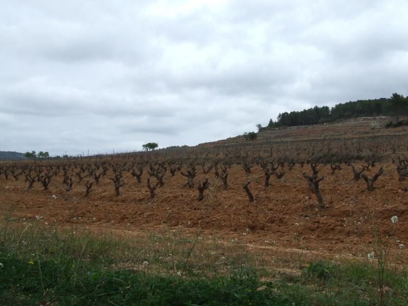 La ruta del Carrasclet ( IV)