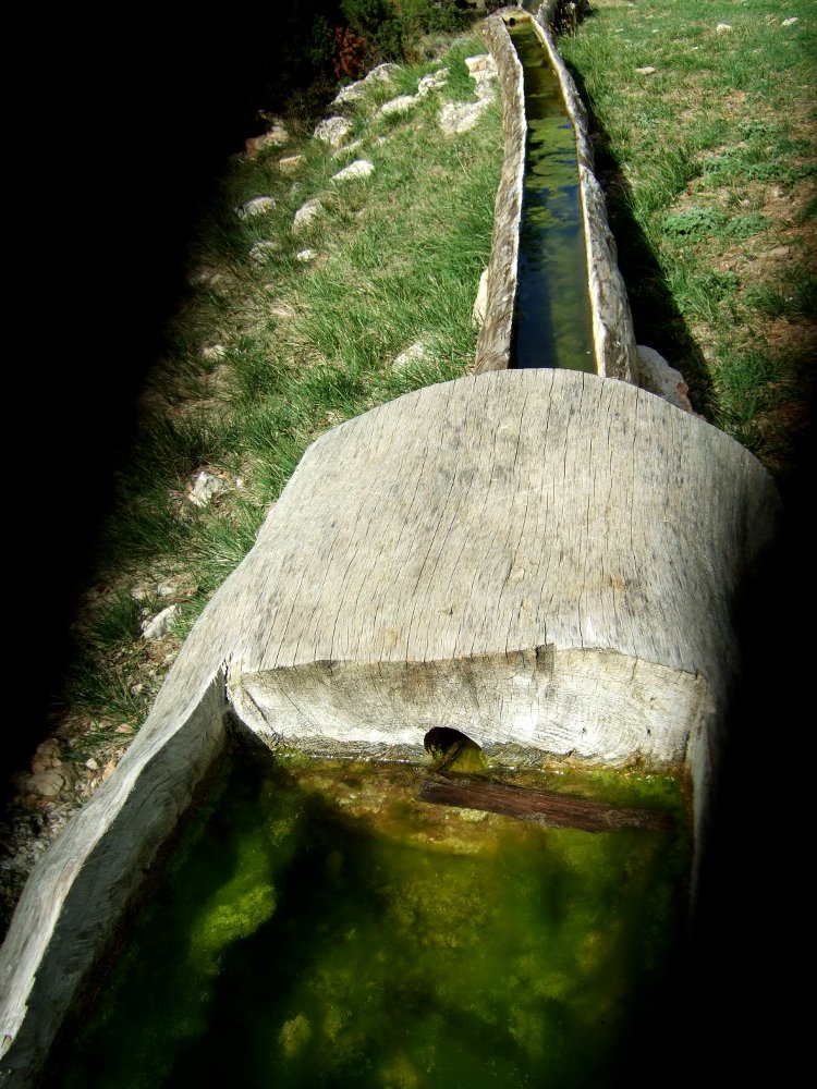 ampliar