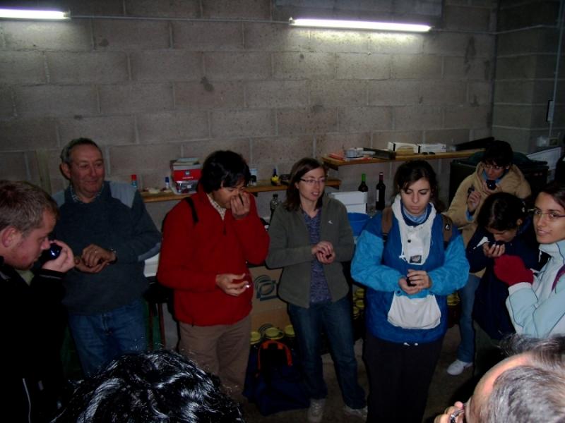 Oleoturisme a Vilalba i els Arcs