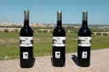 Wines