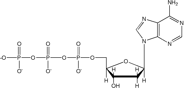 ATP