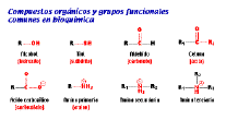 Figura 1.3