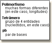 definiciones de polimorfismo, STR y tetr�mero