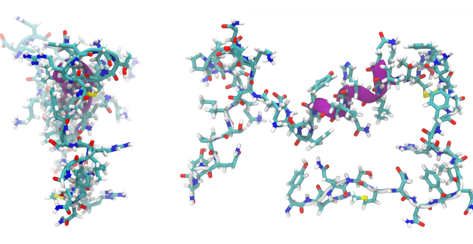 La URV desenvolupa una nova eina per analitzar més de 250.000 estructures de proteïnes