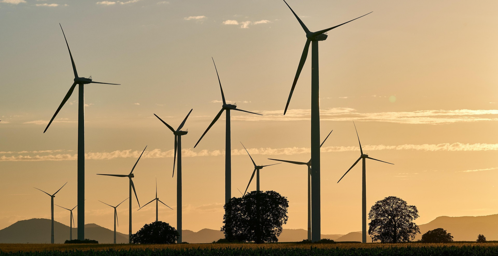 La polarització ideològica marca el posicionament envers la transició energètica