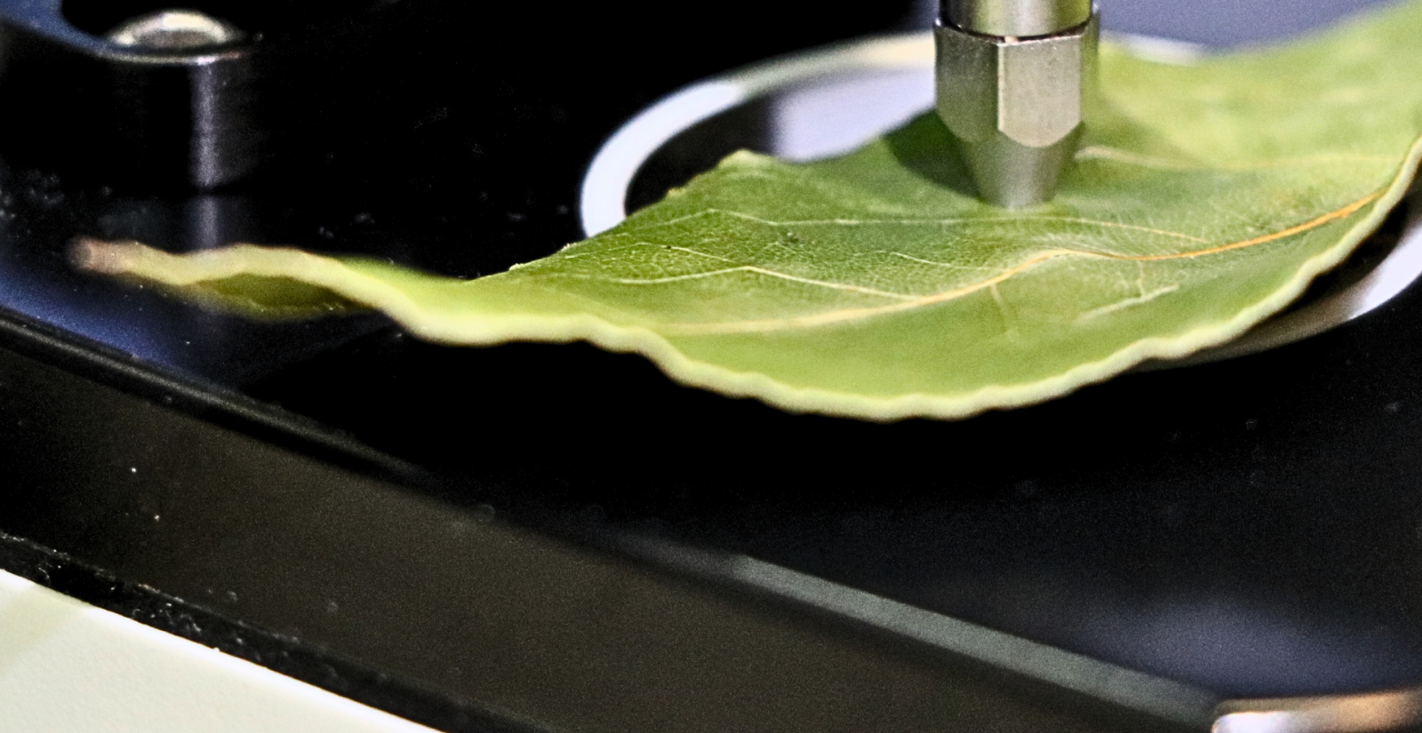 Un mètode permet conèixer el punt òptim de maduració de la fruita sense tocar-la