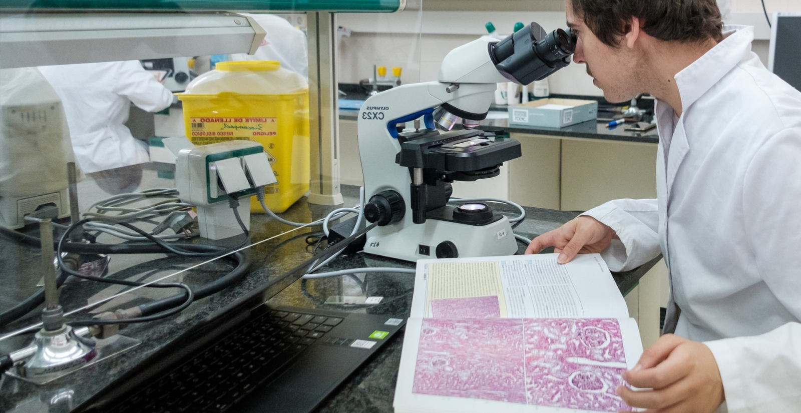 La URV aprova impulsar el grau en Farmàcia per al curs 2027/28