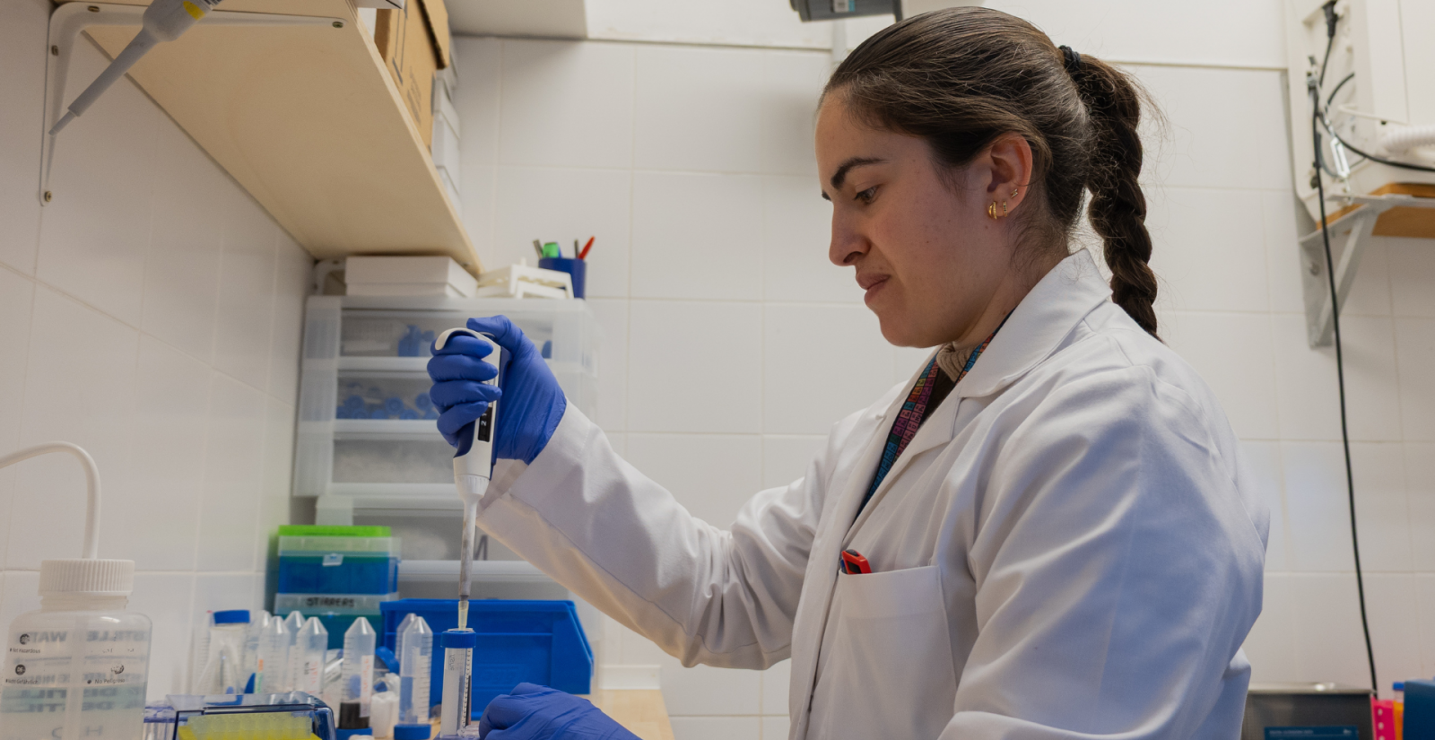 Un nou material híbrid multiplica per 80 la sensibilitat dels sensors òptics