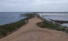 Exposició: Projecte Delta de Carme Cruelles i Llorens Marín